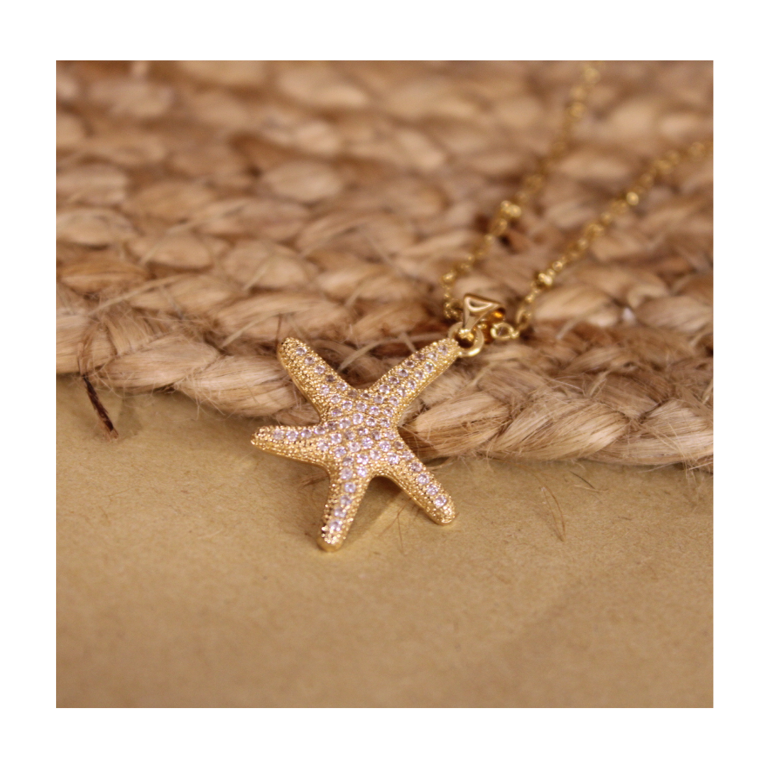 Estrella de mar micropave